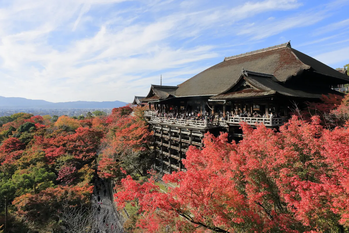 Kiyomizu-dera's main hall above red autumn maples with hills in the distance